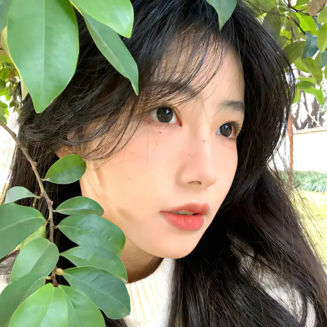绝色双娇